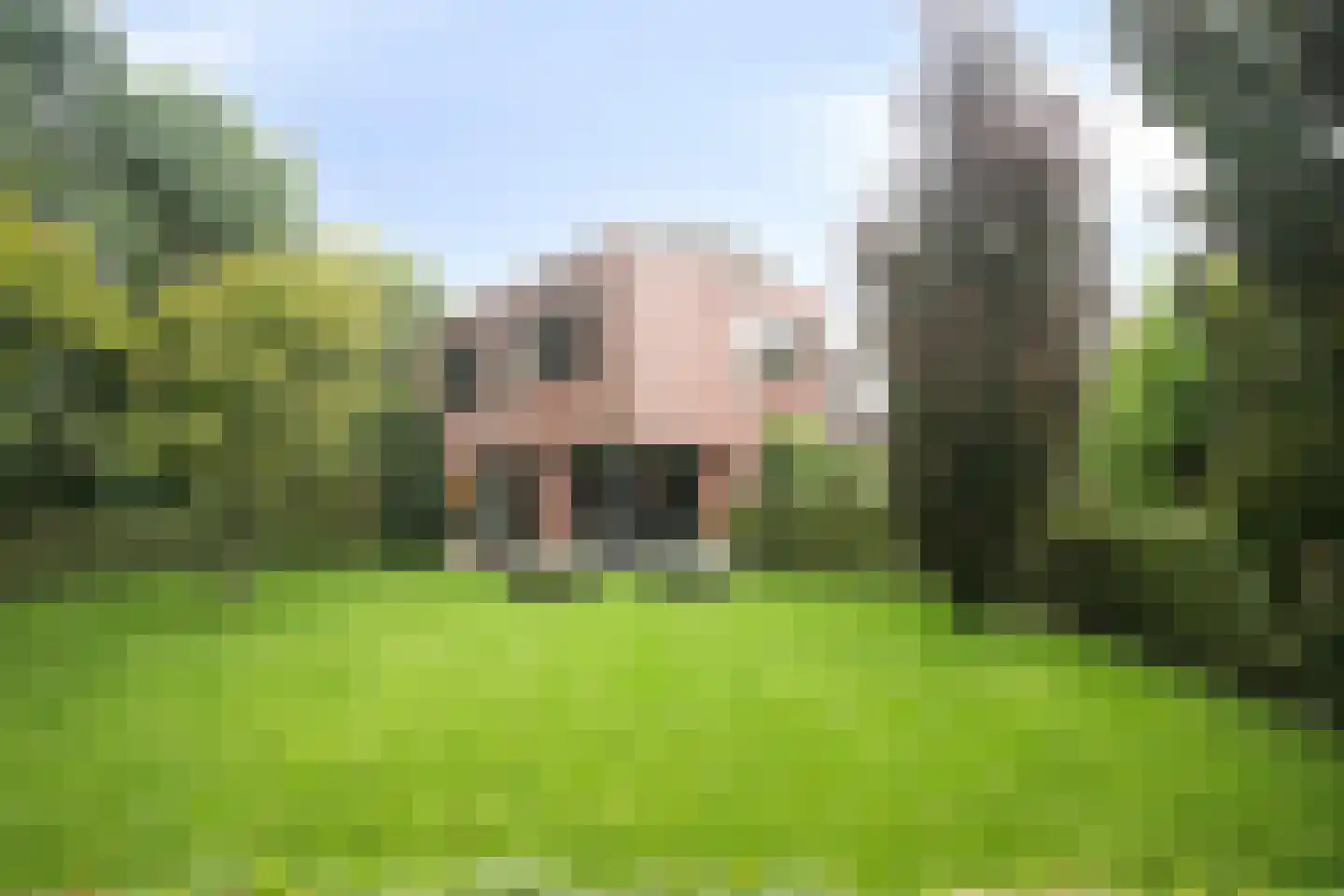A.J. Knipmeijerlaan 1 Emmeloord thumbnail 4