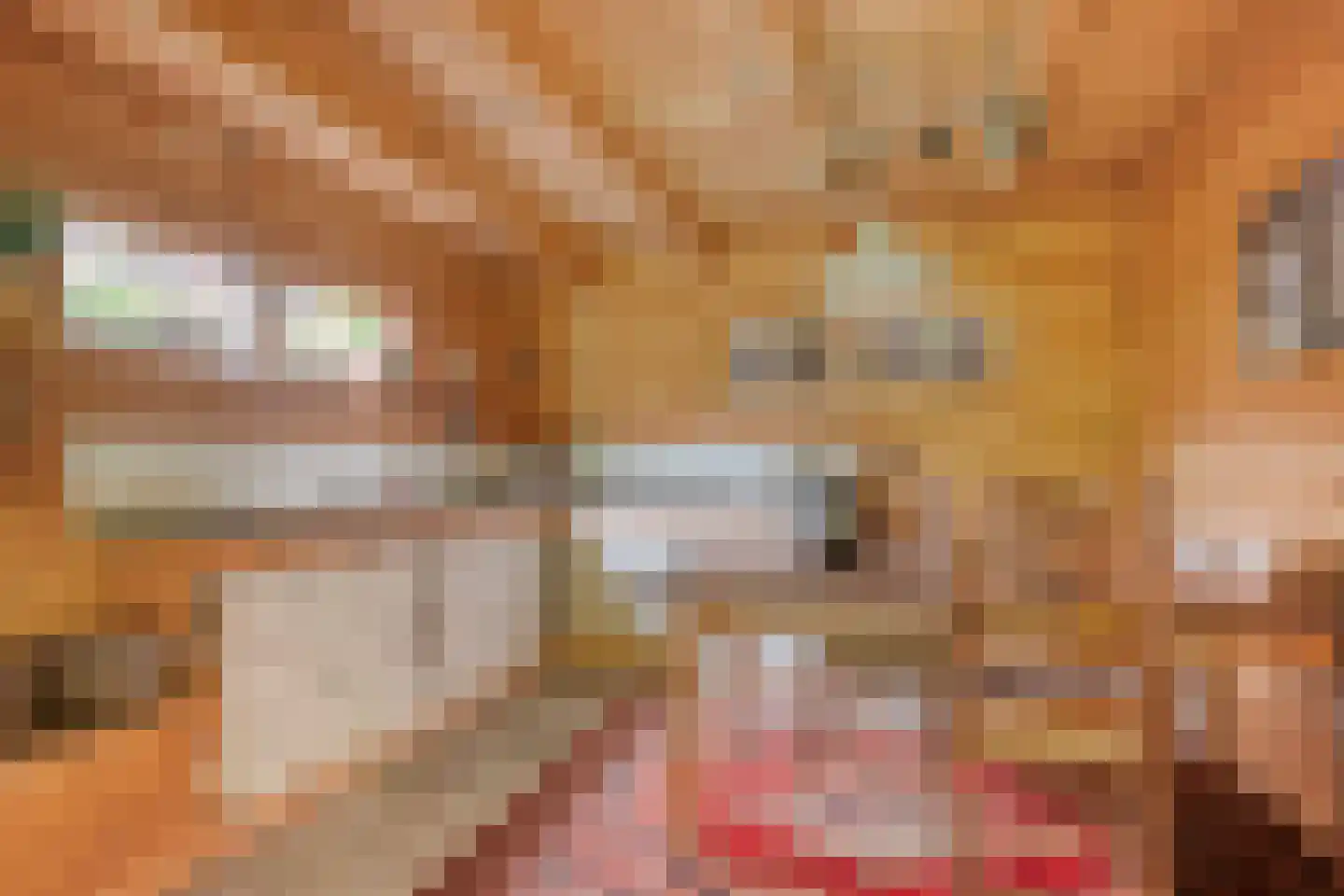 A.J. Knipmeijerlaan 1 Emmeloord thumbnail 45