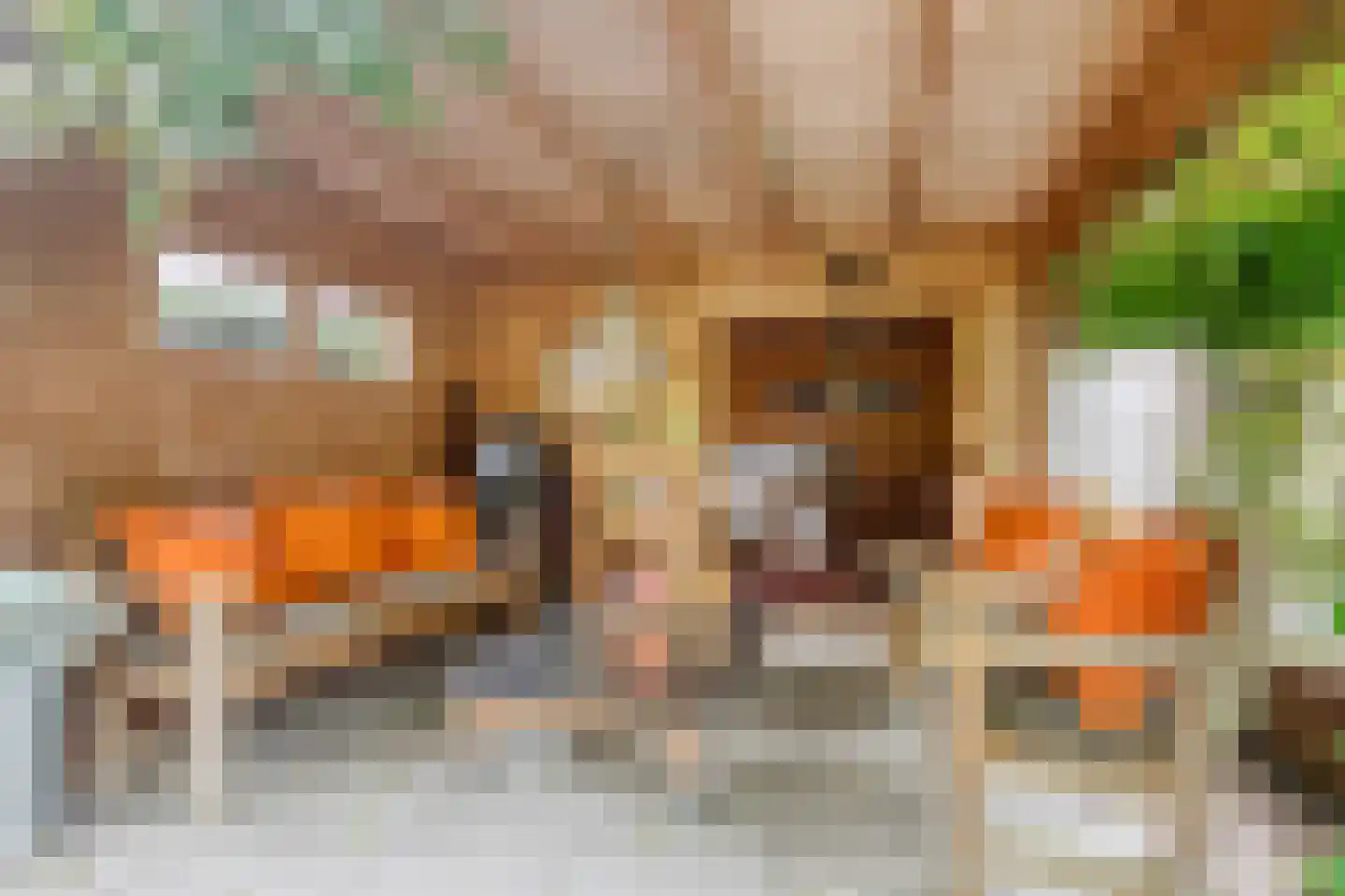 A.J. Knipmeijerlaan 1 Emmeloord thumbnail 46