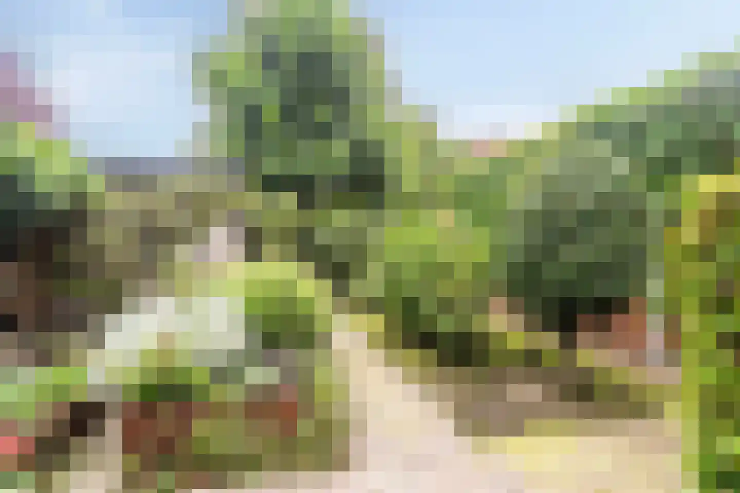 A.J. Knipmeijerlaan 1 Emmeloord thumbnail 52