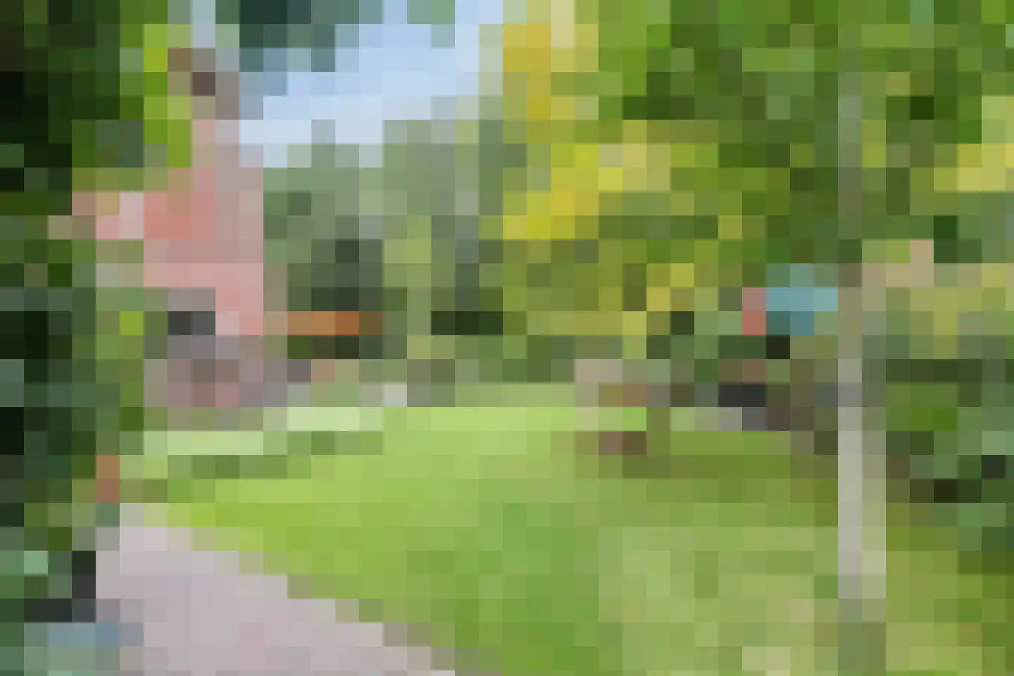 A.J. Knipmeijerlaan 1 Emmeloord thumbnail 54