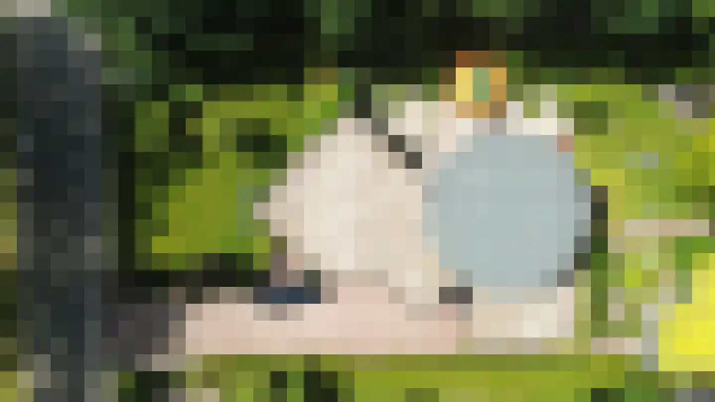 A.J. Knipmeijerlaan 1 Emmeloord thumbnail 61