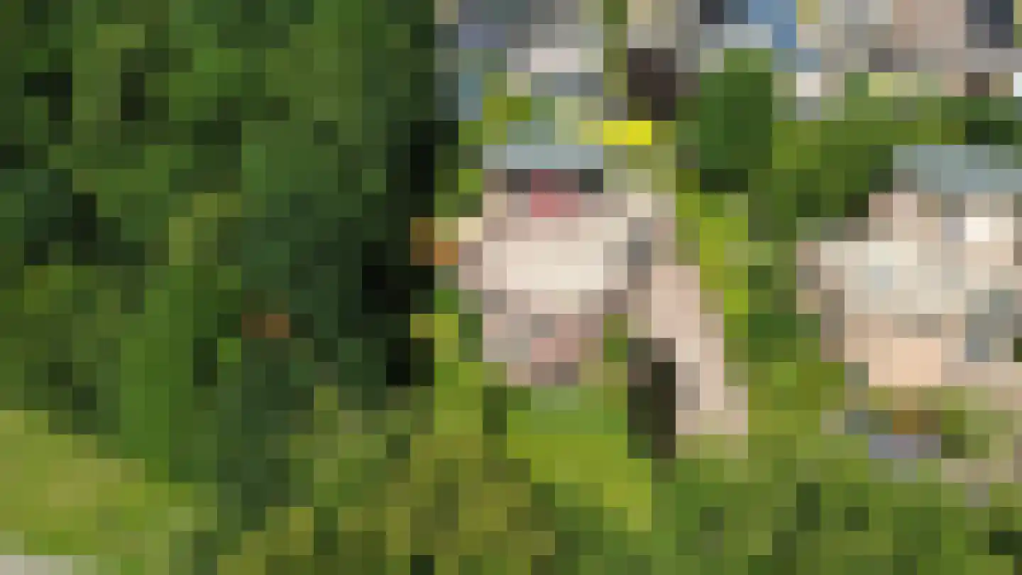 A.J. Knipmeijerlaan 1 Emmeloord thumbnail 62