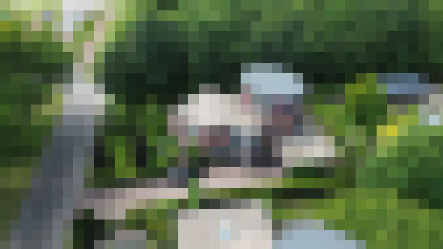 A.J. Knipmeijerlaan 1 Emmeloord thumbnail 65
