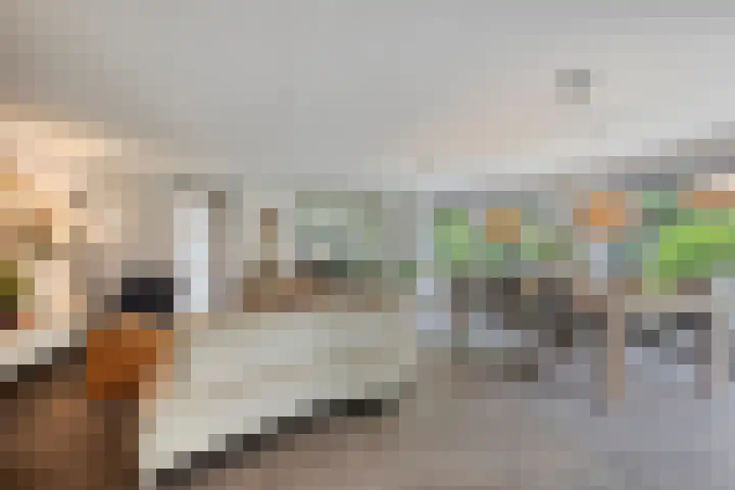 A.J. Knipmeijerlaan 1 Emmeloord thumbnail 9