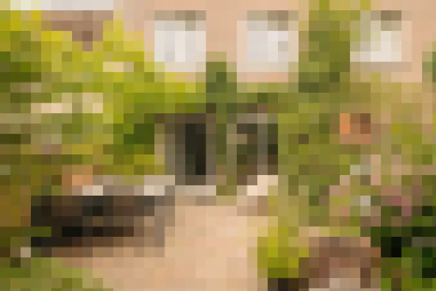 A.J. Krophollerstraat 4 Amsterdam thumbnail 13