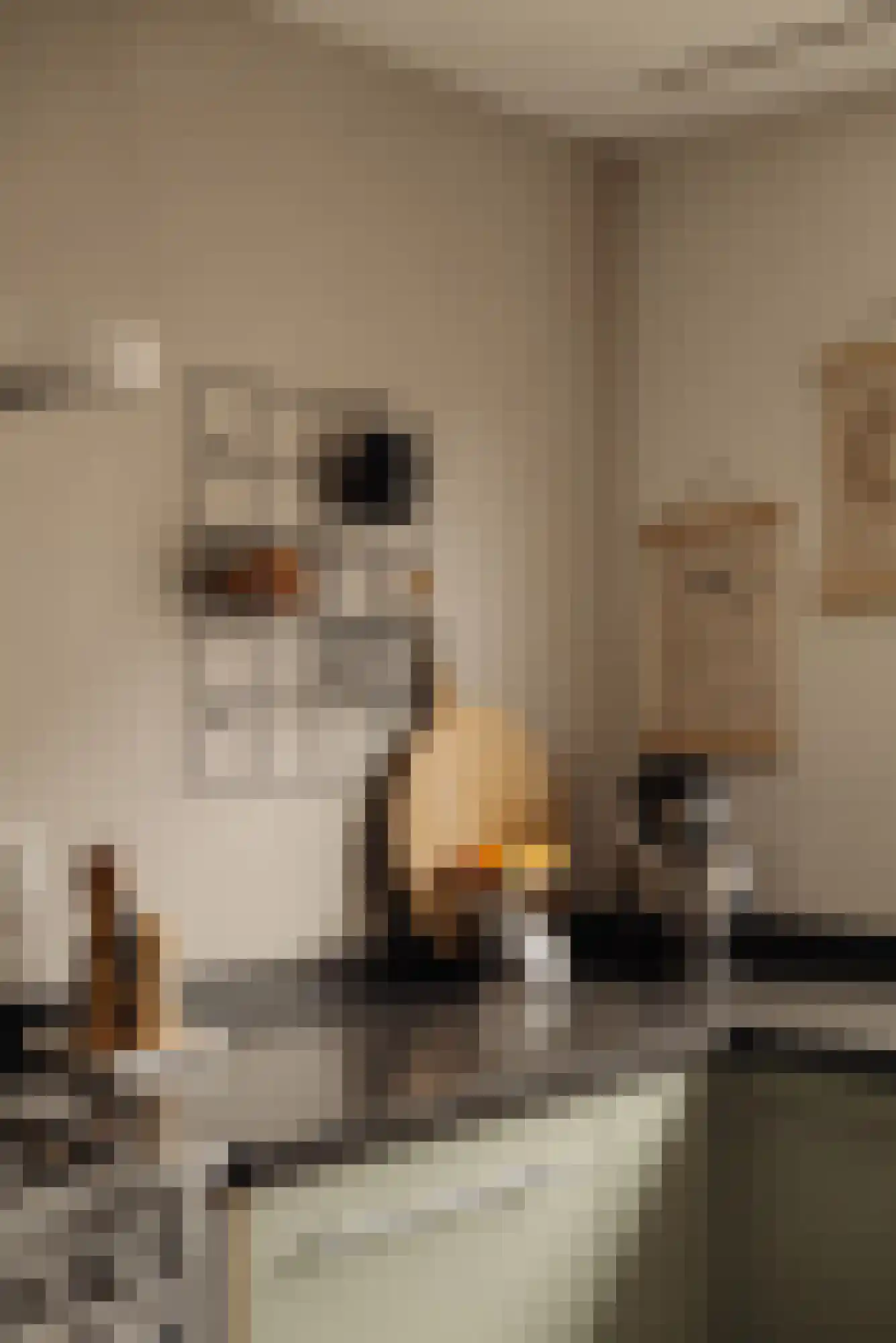 A.J. Krophollerstraat 4 Amsterdam thumbnail 9