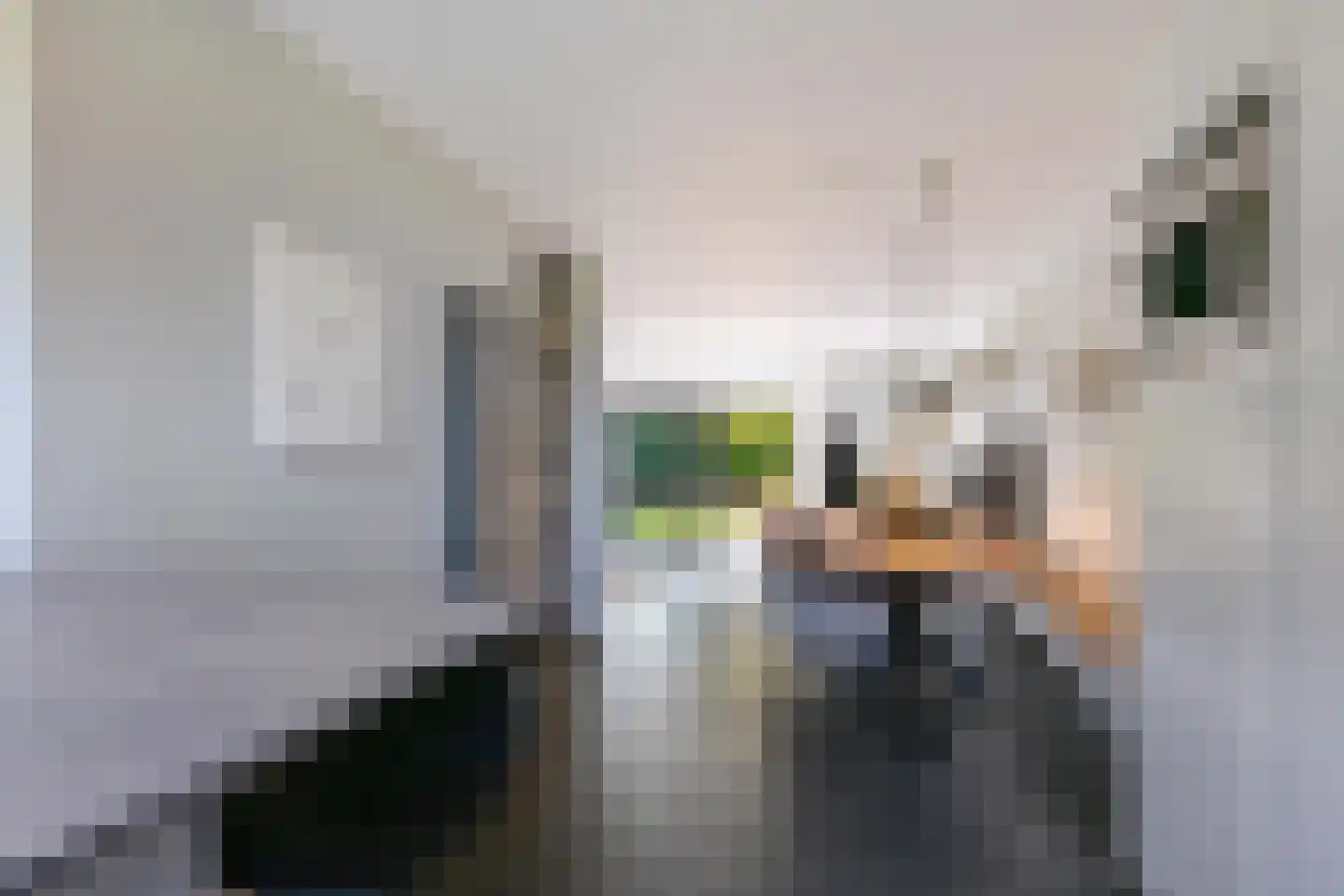 A.J. Lutulistraat 15 Groningen thumbnail 13