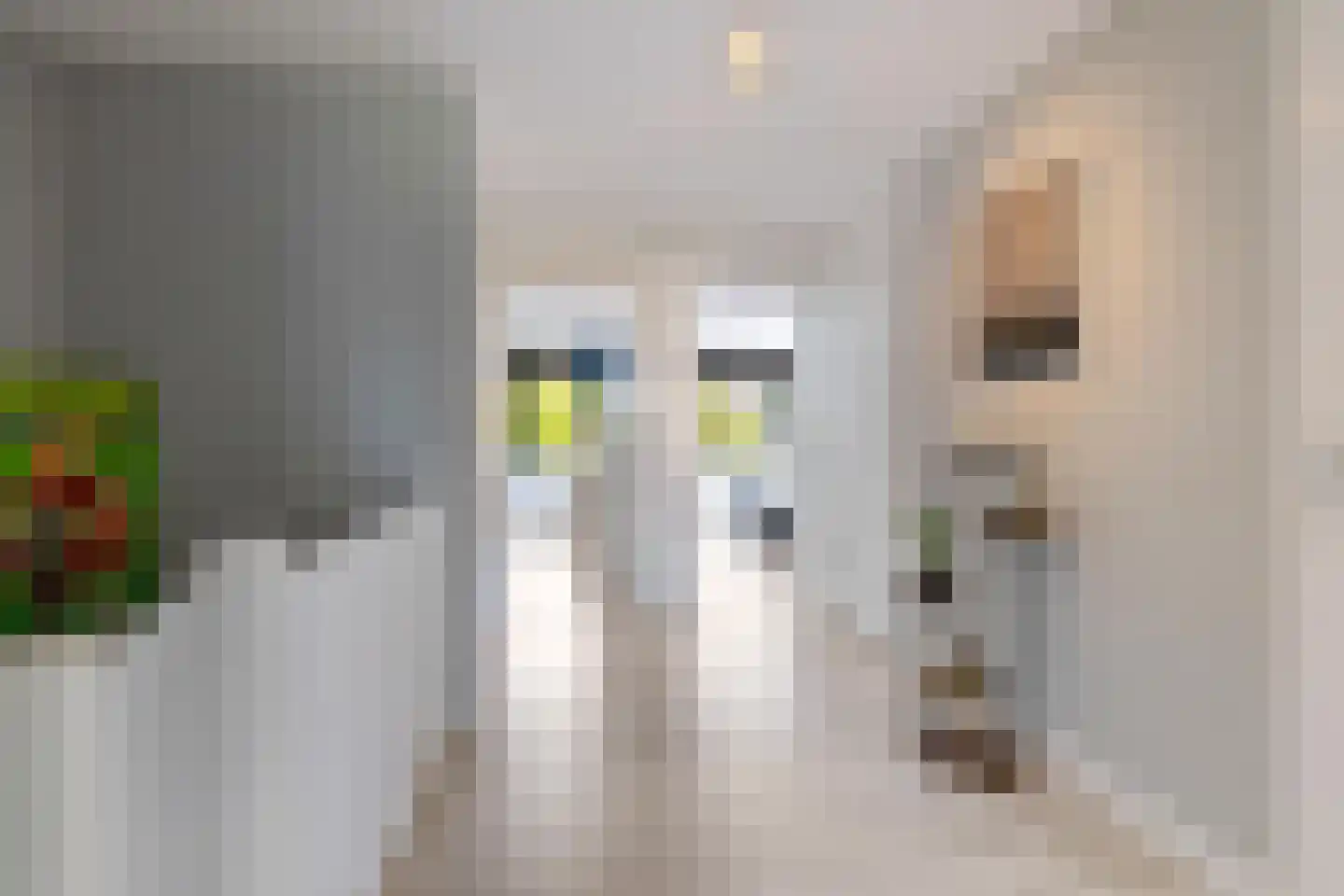 A.J. Lutulistraat 15 Groningen thumbnail 27
