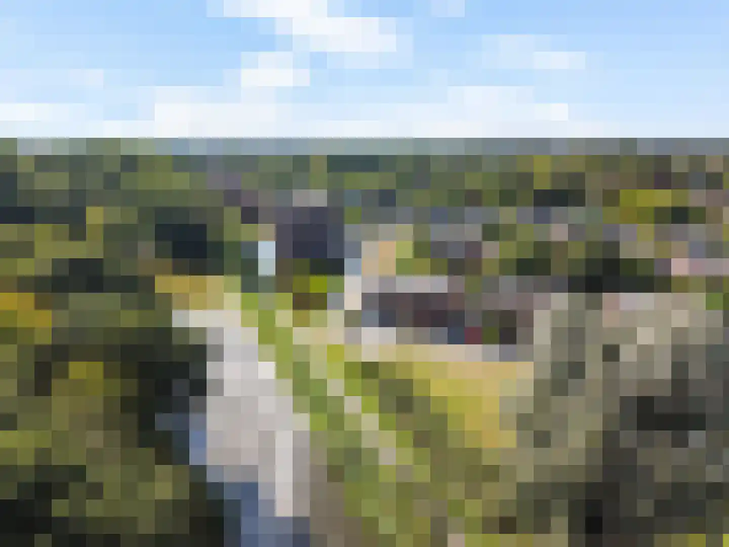 A.J. Lutulistraat 15 Groningen thumbnail 63
