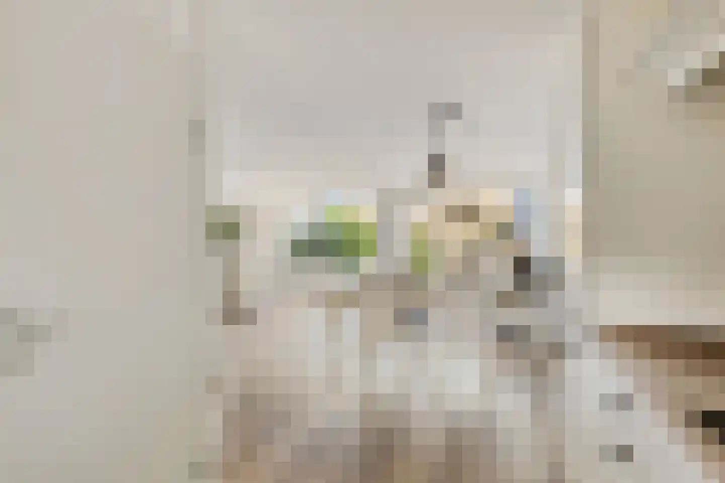 A J van der Moolenstraat 69 Zandvoort thumbnail 10