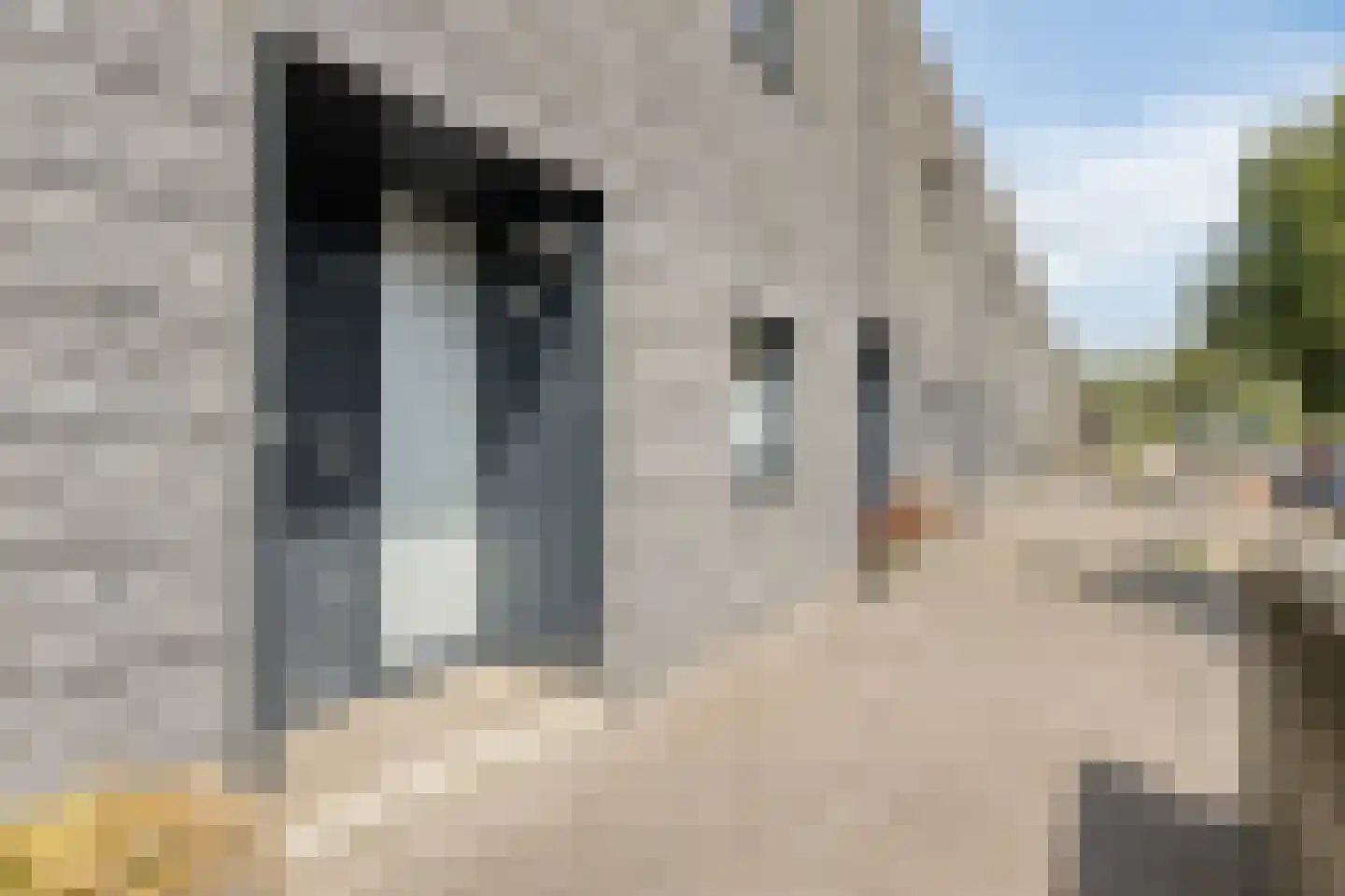 A J van der Moolenstraat 69 Zandvoort thumbnail 28