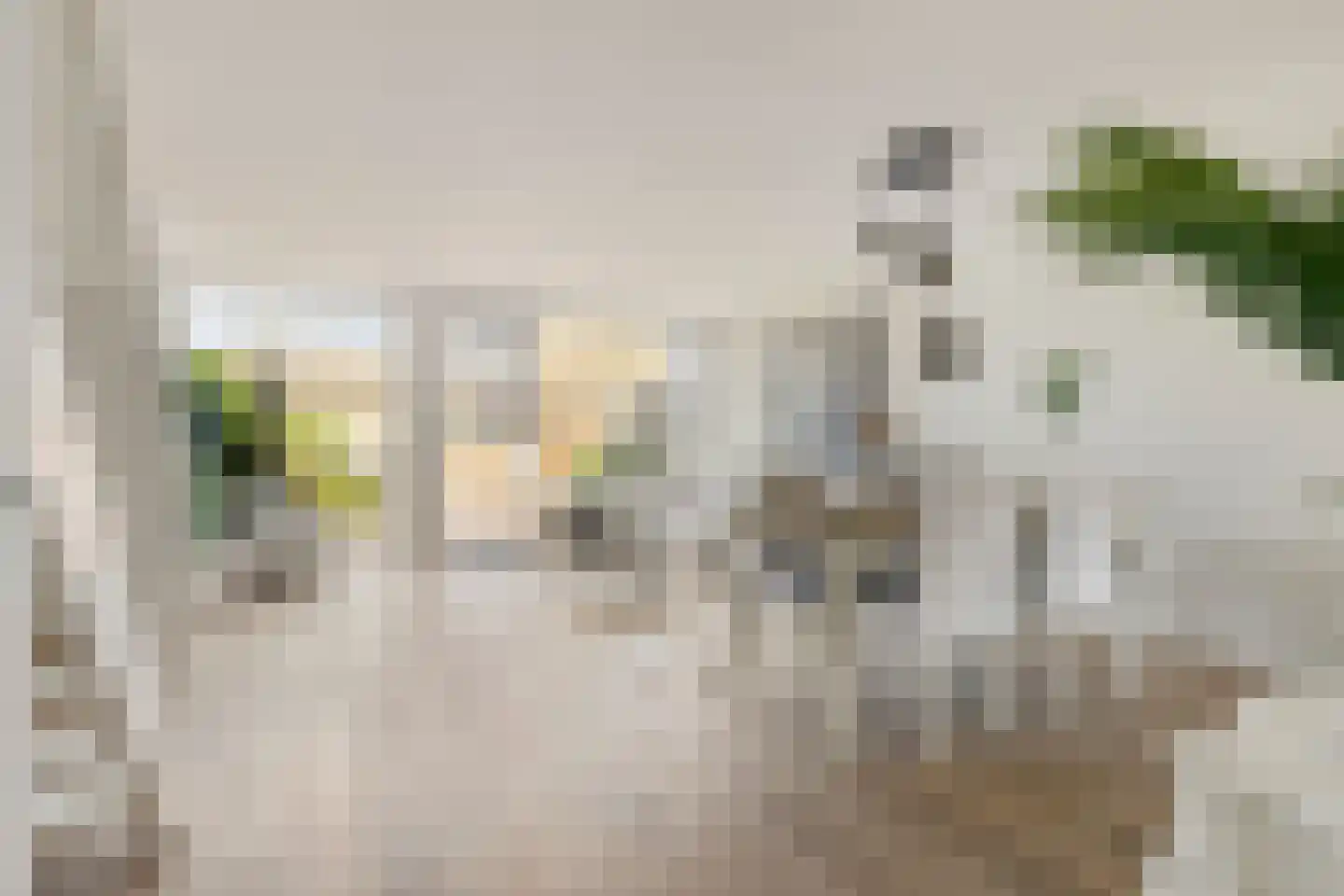 A J van der Moolenstraat 69 Zandvoort thumbnail 4