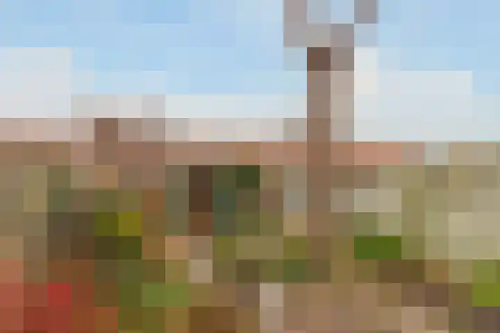 A.J. van Reststraat 10 Poeldijk thumbnail 10