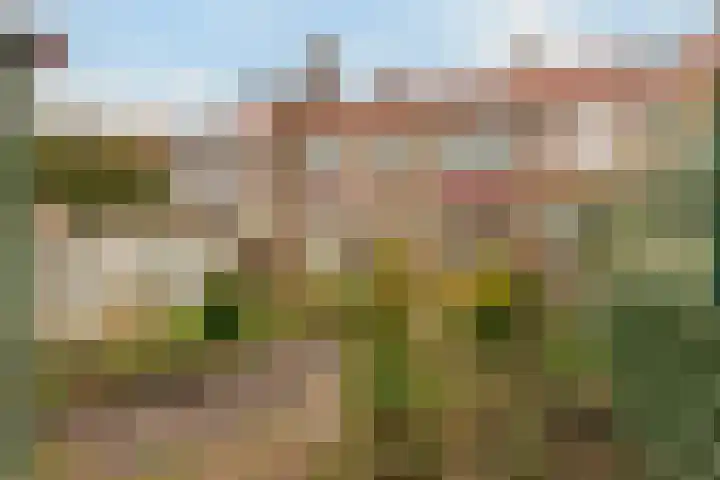 A.J. van Reststraat 10 Poeldijk thumbnail 9