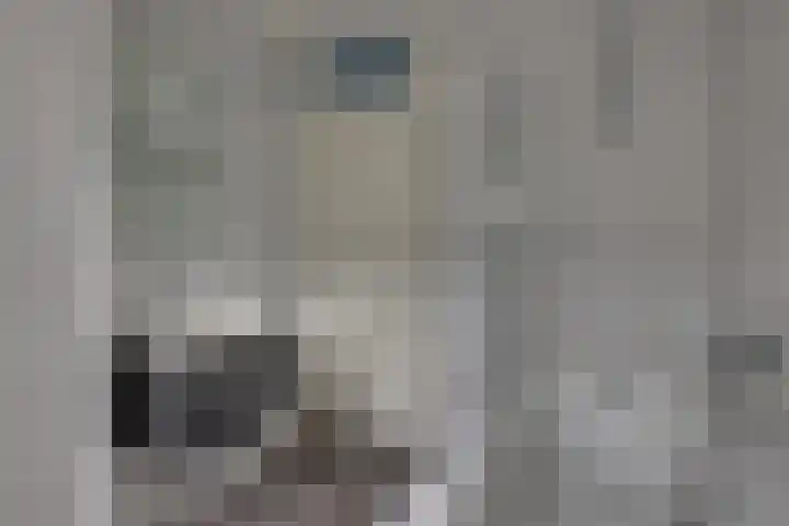 A.J. Vitringastraat 58 Deventer thumbnail 26
