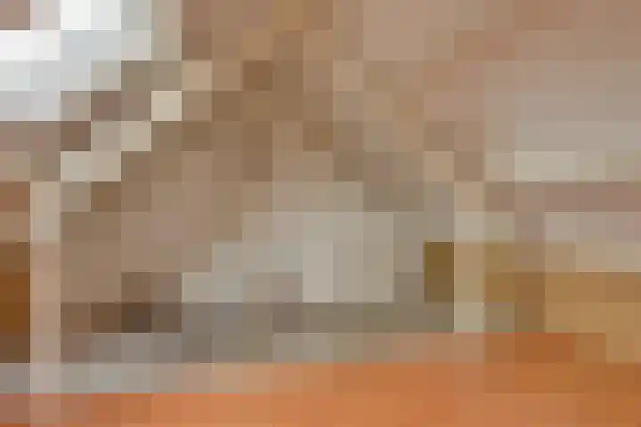 A.J. Vitringastraat 58 Deventer thumbnail 29