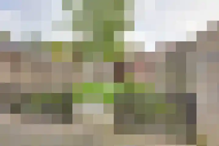 A.J. Vitringastraat 58 Deventer thumbnail 31