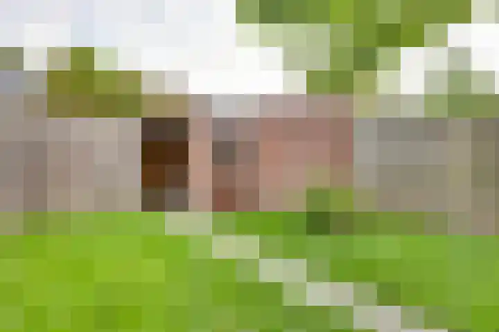 A.J. Vitringastraat 58 Deventer thumbnail 32