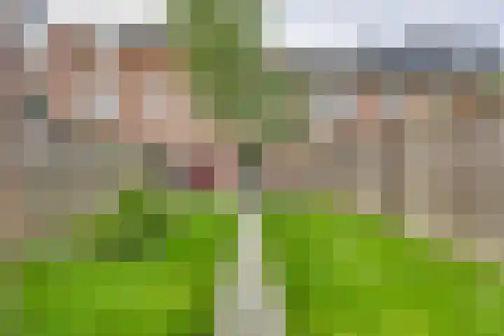 A.J. Vitringastraat 58 Deventer thumbnail 33