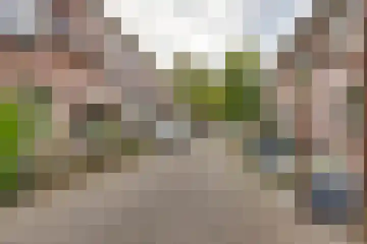 A.J. Vitringastraat 58 Deventer thumbnail 37