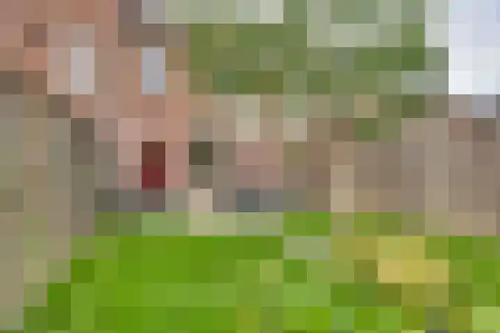 A.J. Vitringastraat 58 Deventer thumbnail 6