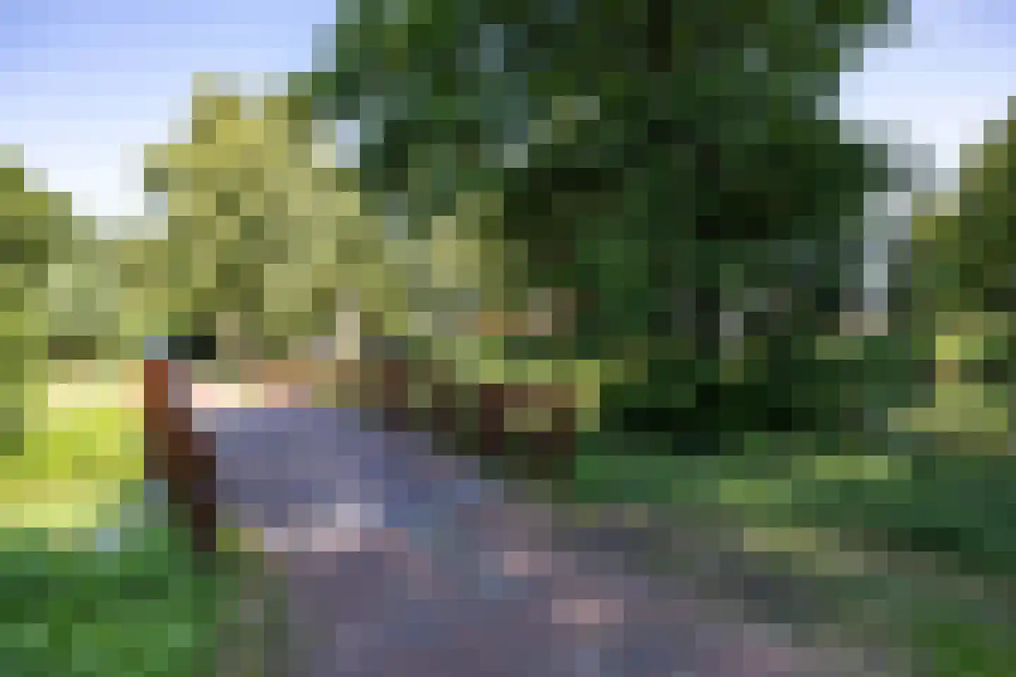 A. Jacobsstraat 161 Groningen thumbnail 38