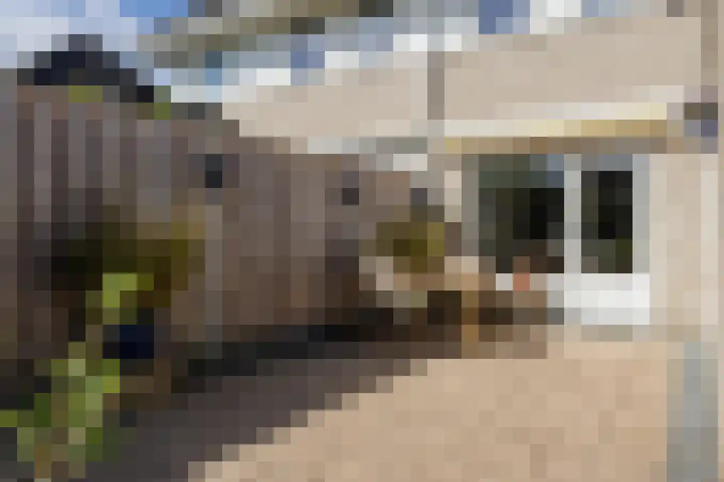 A. Jacobsstraat 74 Groningen thumbnail 45