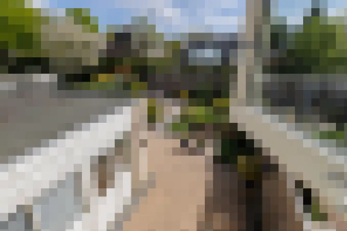 A. Jacobsstraat 74 Groningen thumbnail 56