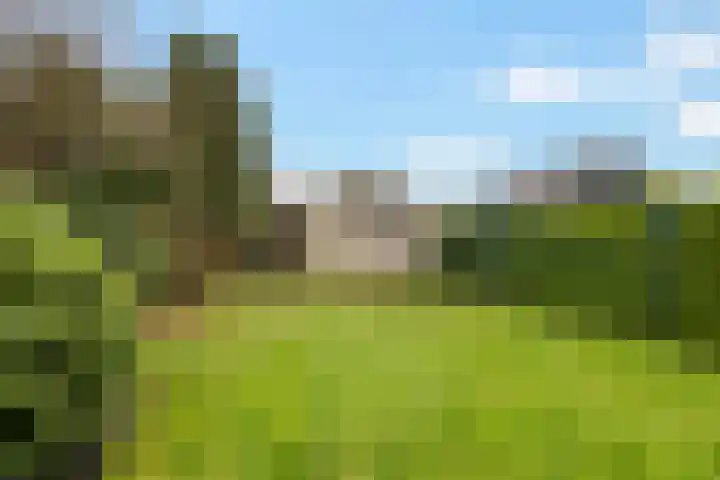A-kade 11 Musselkanaal thumbnail 28