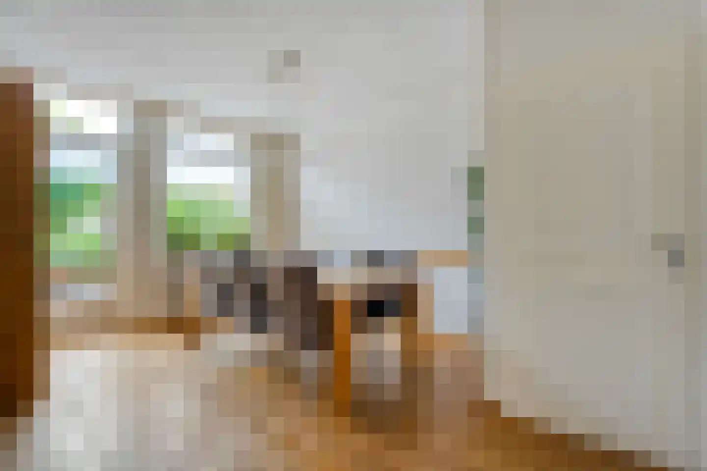 A. Keijzerlaan 10 Nijeveen thumbnail 10