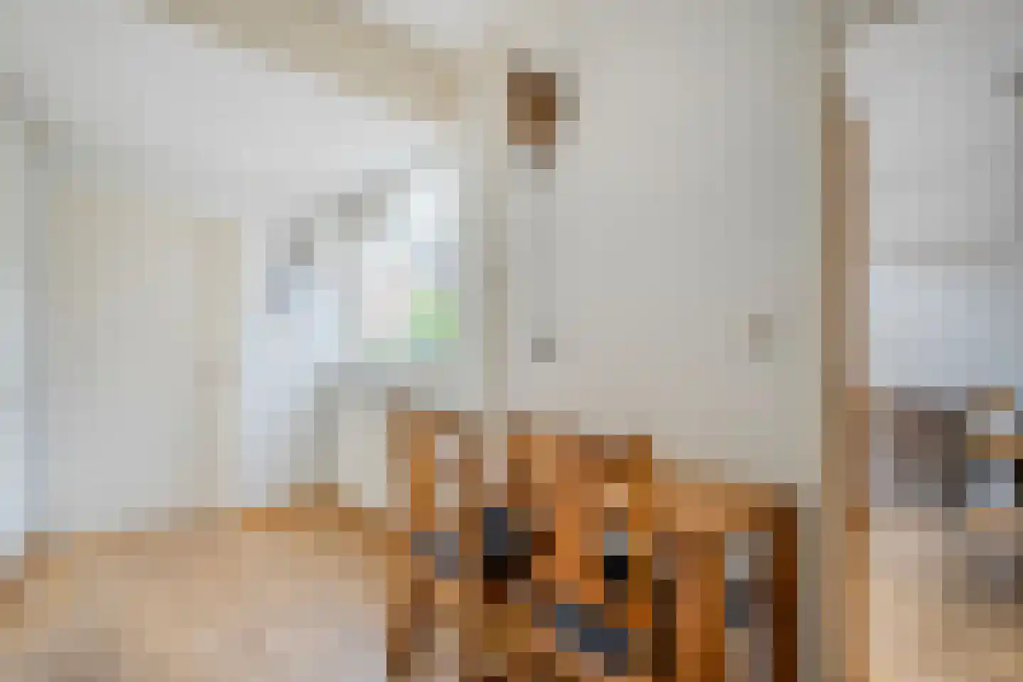 A. Keijzerlaan 10 Nijeveen thumbnail 13