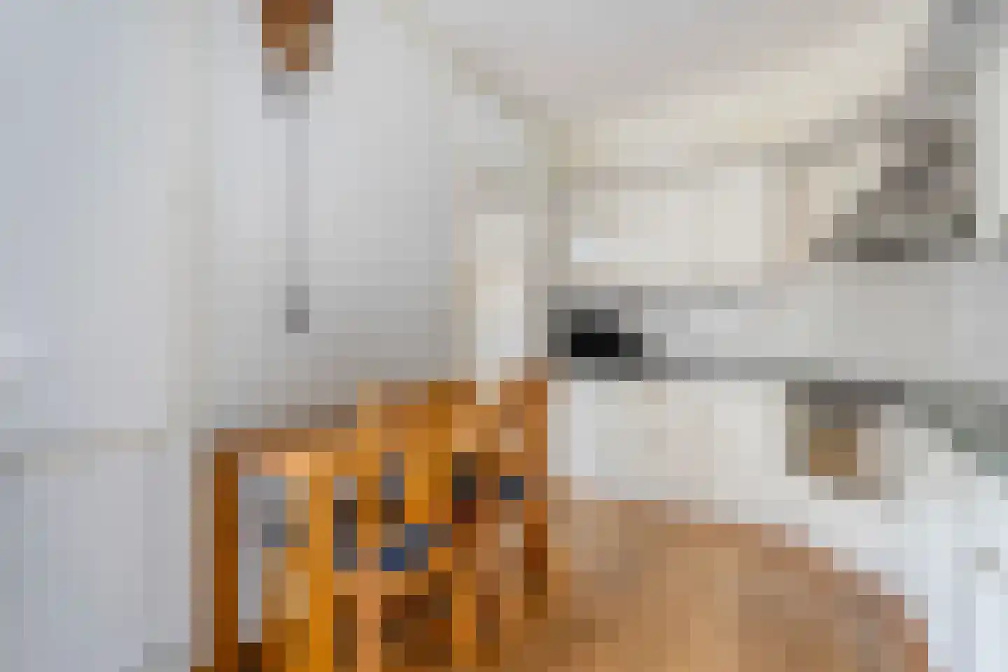 A. Keijzerlaan 10 Nijeveen thumbnail 14