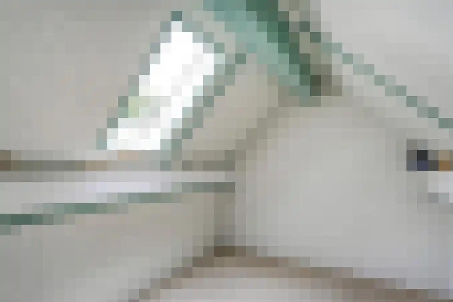 A. Keijzerlaan 10 Nijeveen thumbnail 27