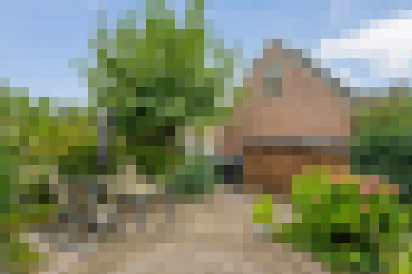A. Keijzerlaan 10 Nijeveen thumbnail 32