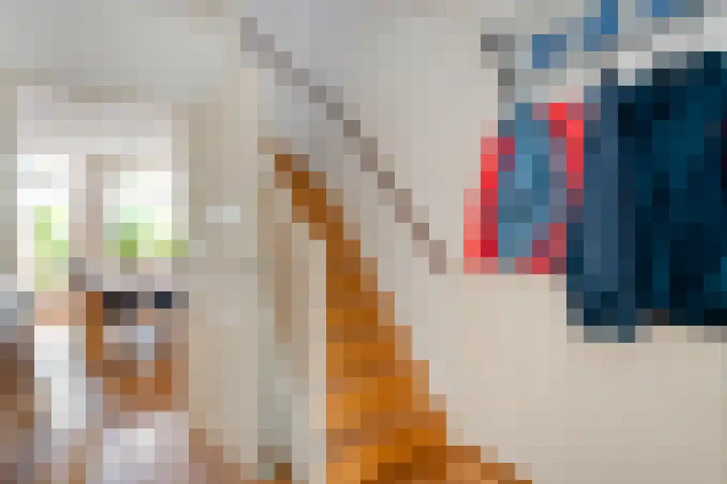 A. Keijzerlaan 10 Nijeveen thumbnail 6