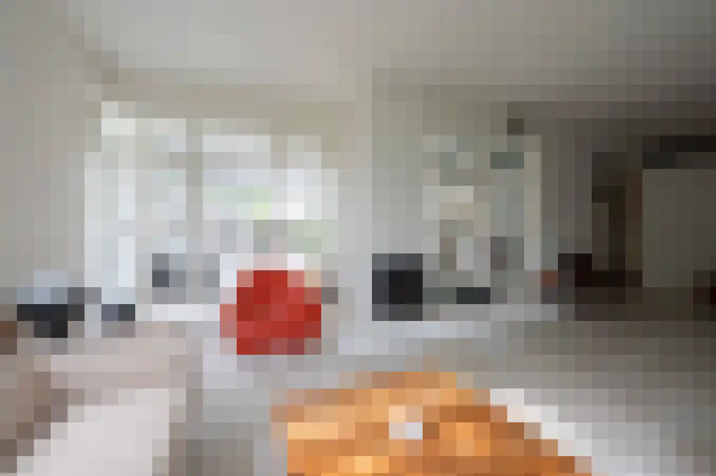 A Koenestraat 2 Oudenbosch thumbnail 12