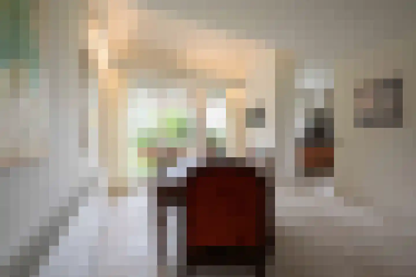 A Koenestraat 2 Oudenbosch thumbnail 17