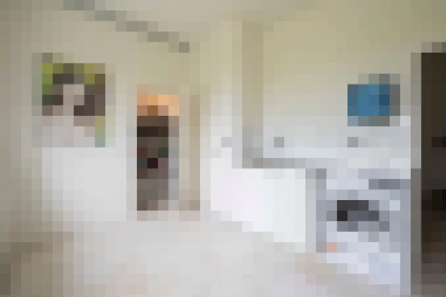 A Koenestraat 2 Oudenbosch thumbnail 23