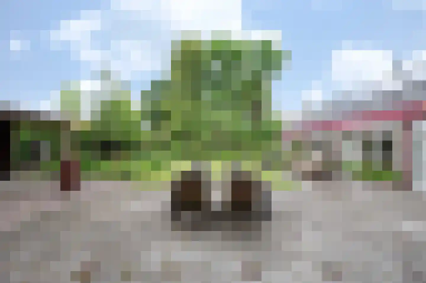A Koenestraat 2 Oudenbosch thumbnail 34
