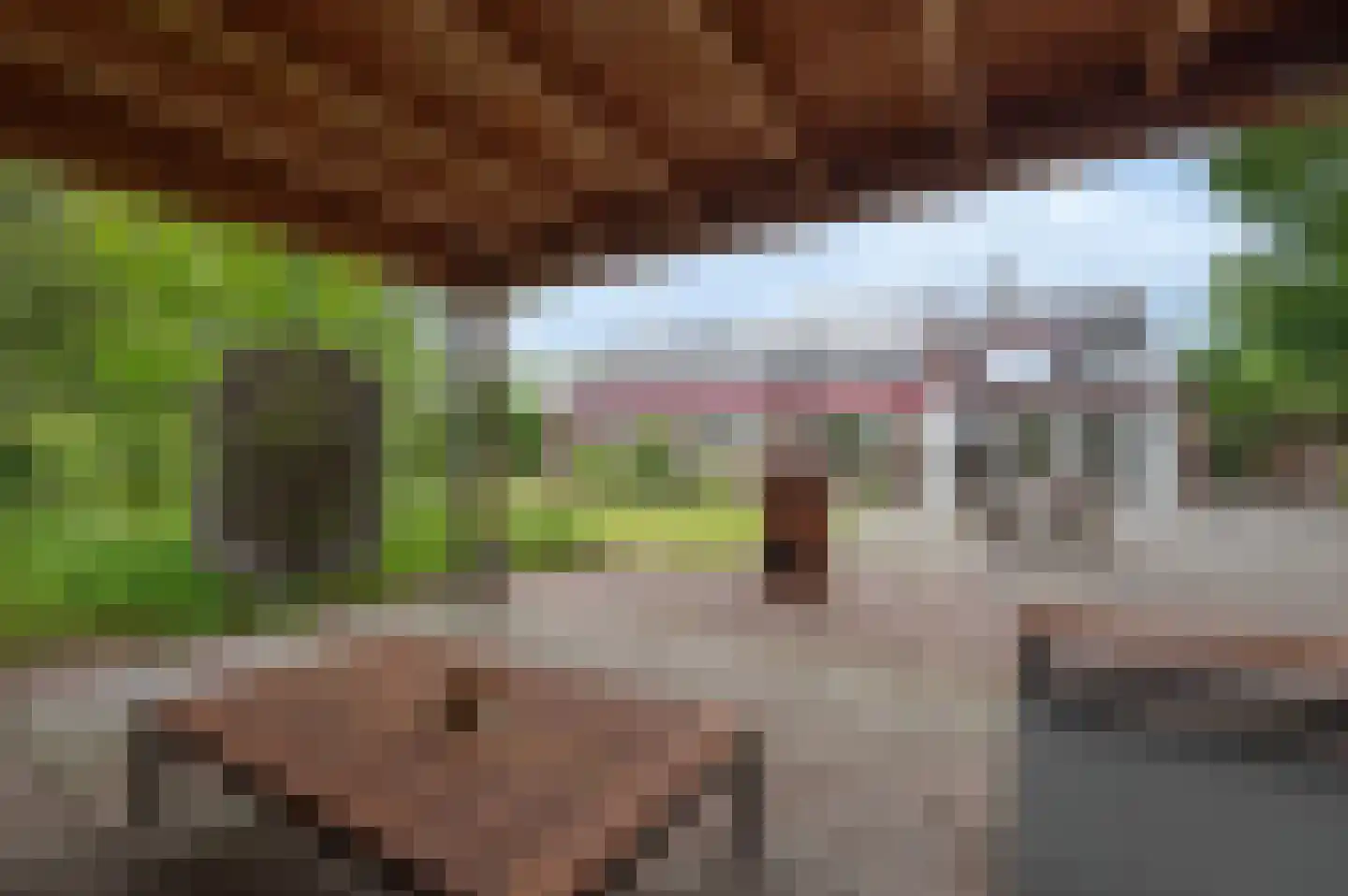 A Koenestraat 2 Oudenbosch thumbnail 35