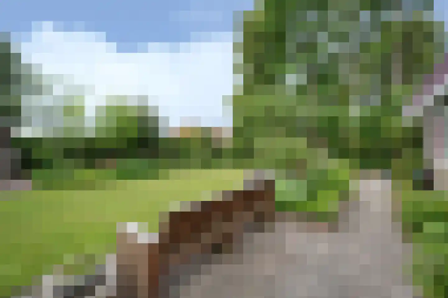 A Koenestraat 2 Oudenbosch thumbnail 36