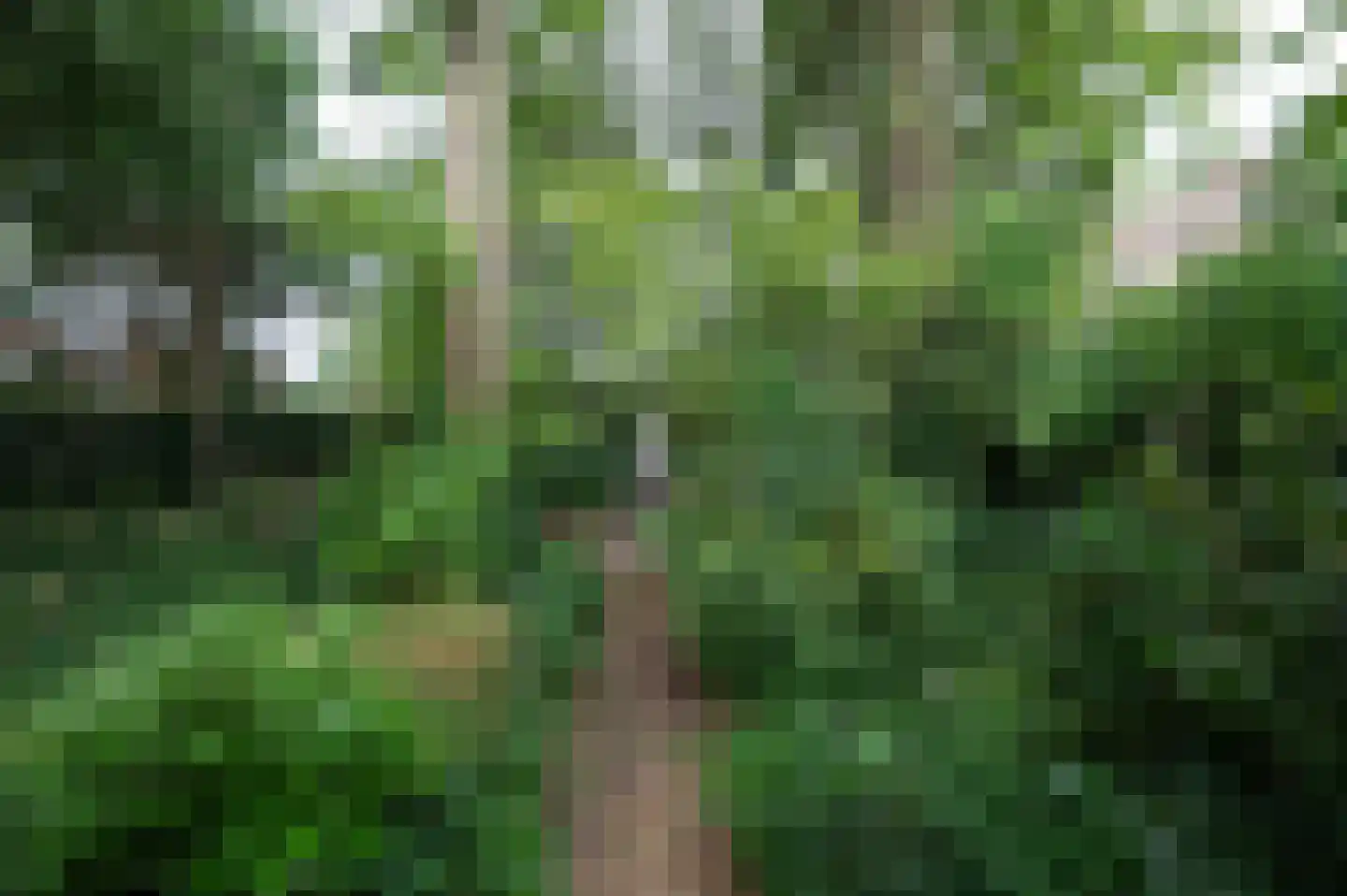 A Koenestraat 2 Oudenbosch thumbnail 37