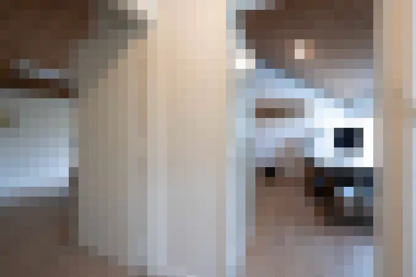 A Koenestraat 2 Oudenbosch thumbnail 41