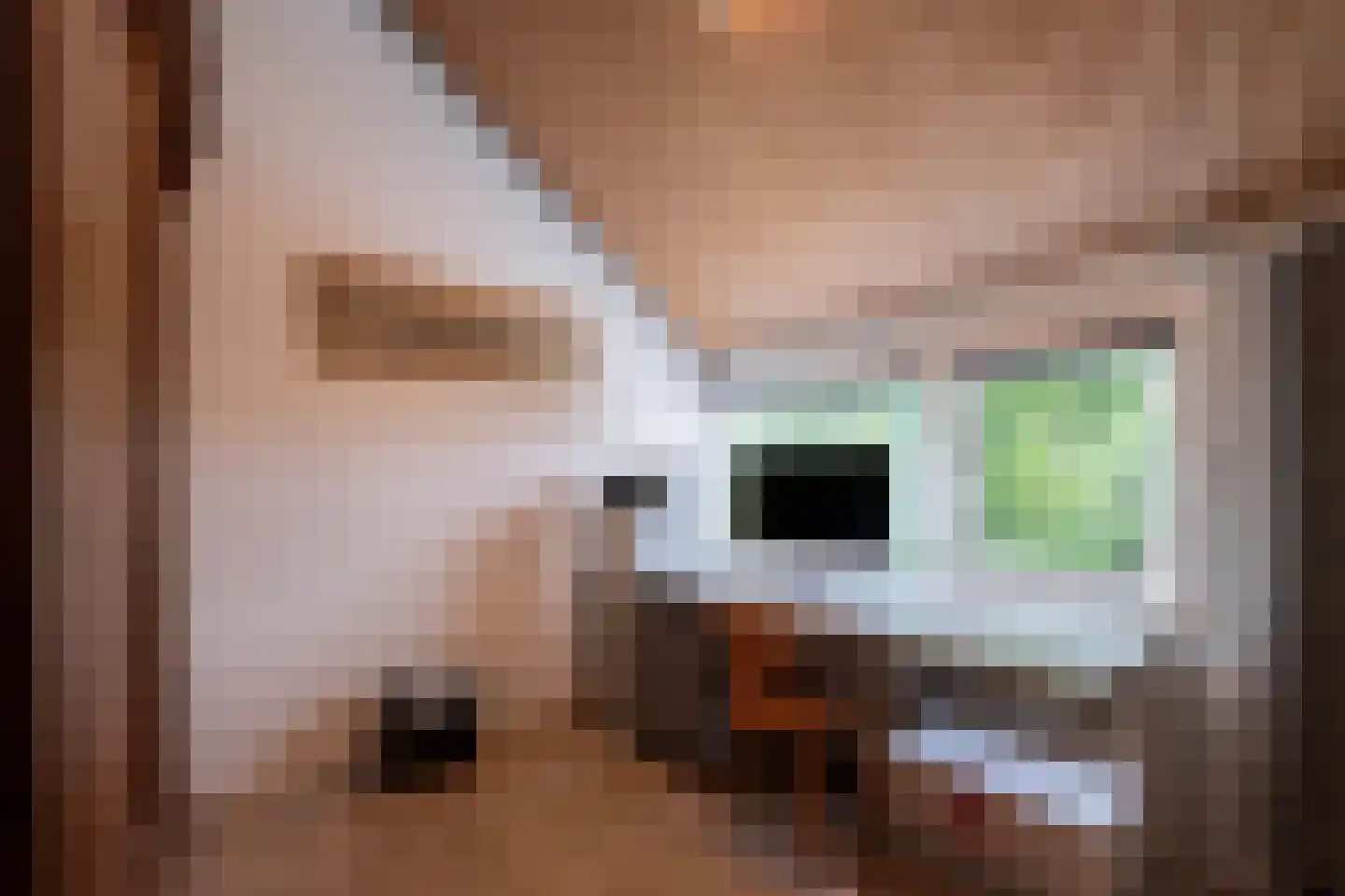 A Koenestraat 2 Oudenbosch thumbnail 42