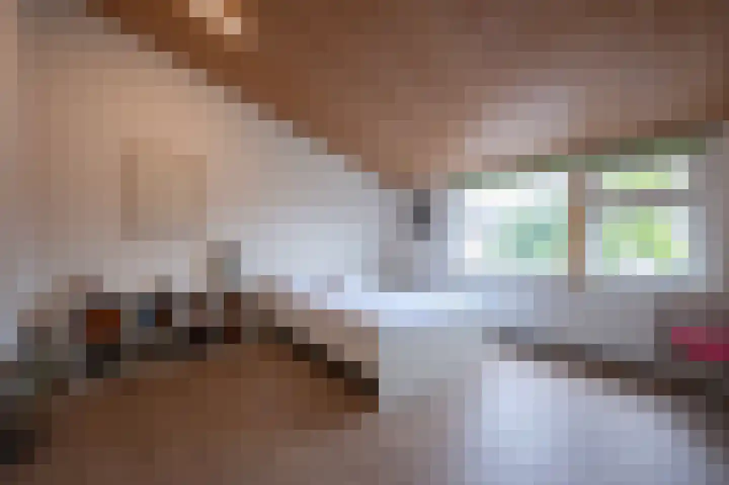 A Koenestraat 2 Oudenbosch thumbnail 46