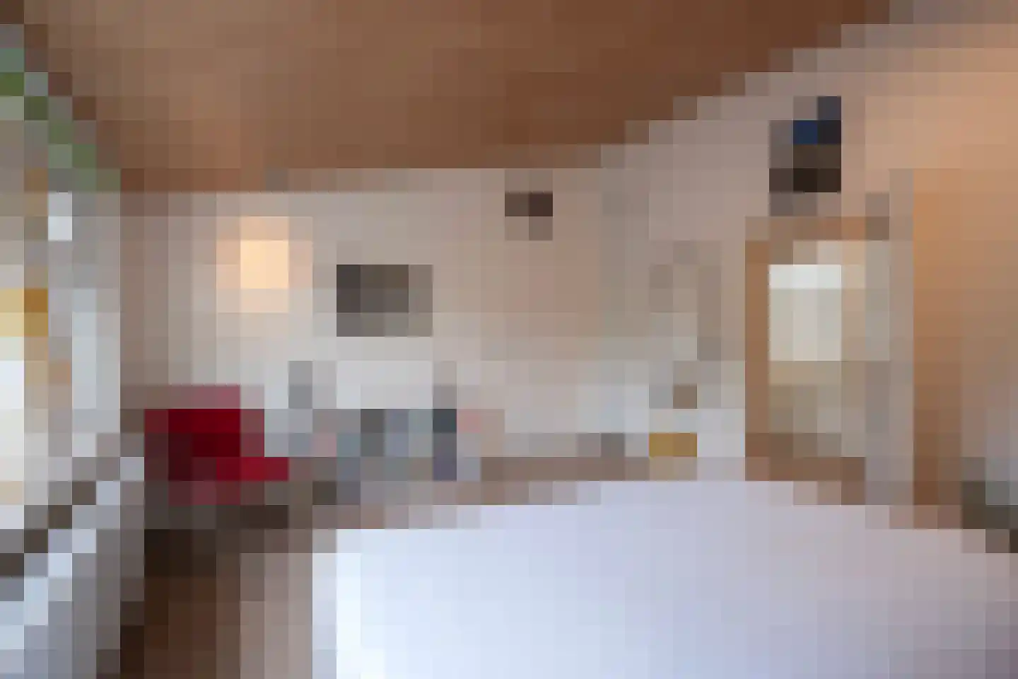 A Koenestraat 2 Oudenbosch thumbnail 47