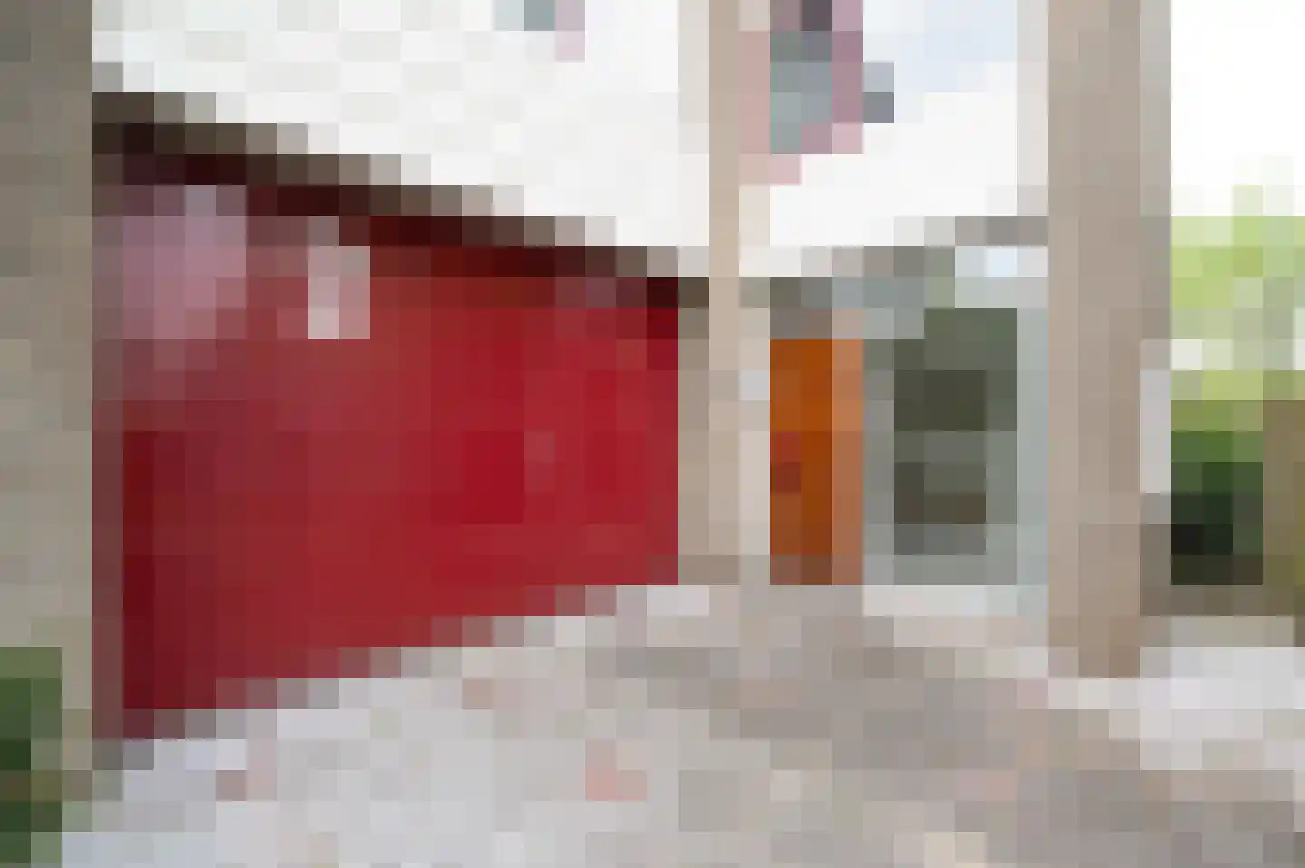 A Koenestraat 2 Oudenbosch thumbnail 5