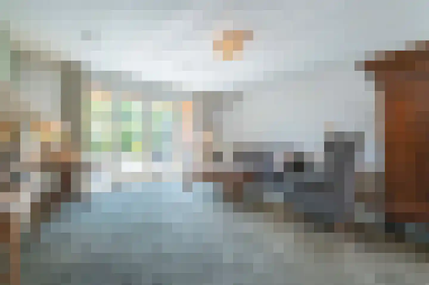A Koenestraat 8 Oudenbosch thumbnail 10
