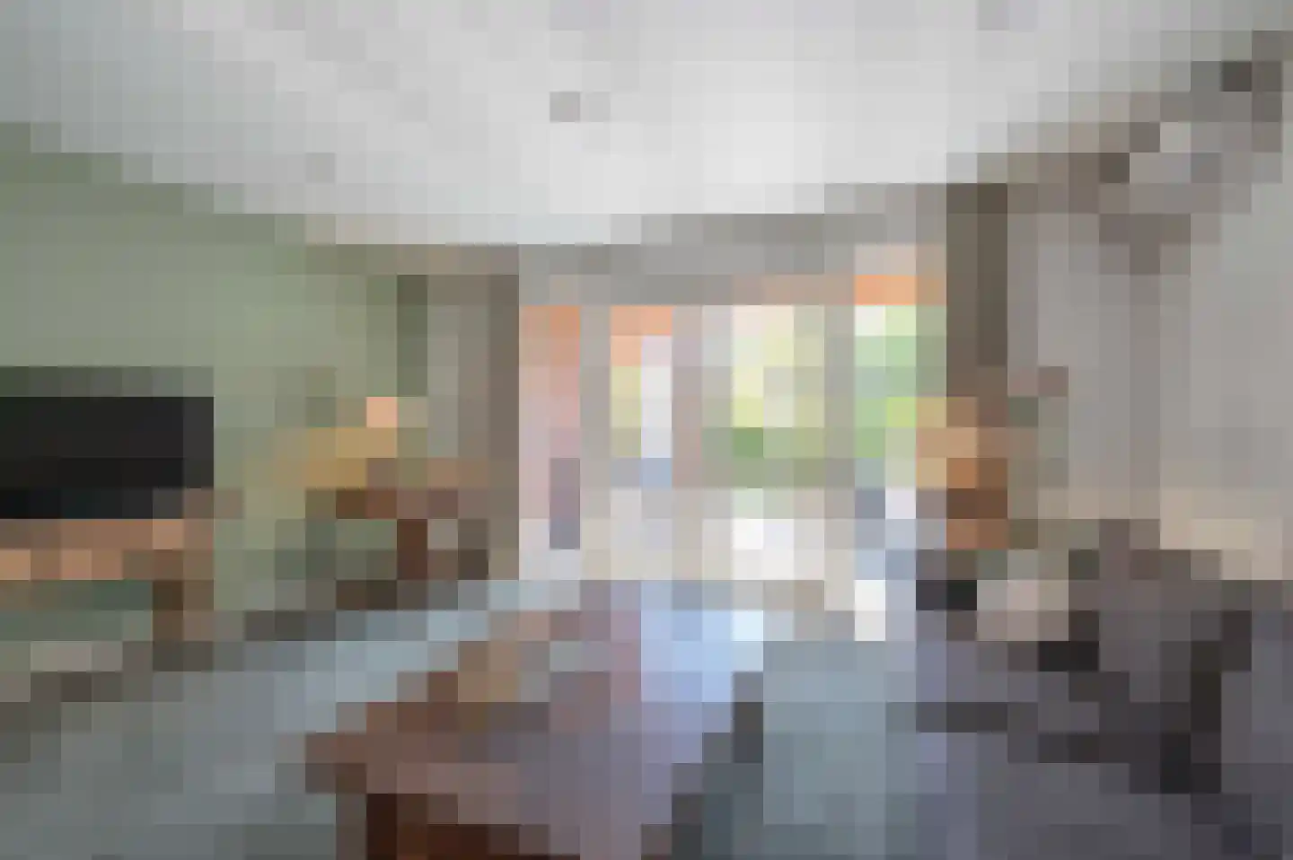 A Koenestraat 8 Oudenbosch thumbnail 13